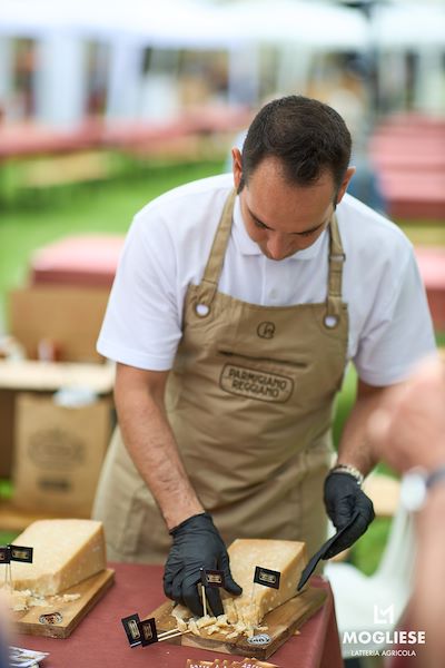 Glasses in Villa: excellent tastings with the Mogliese Latteria