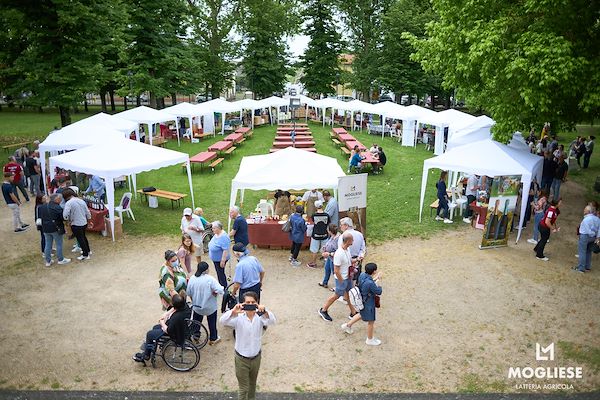 Glasses in Villa: excellent tastings with the Mogliese Latteria