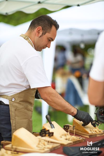Glasses in Villa: excellent tastings with the Mogliese Latteria