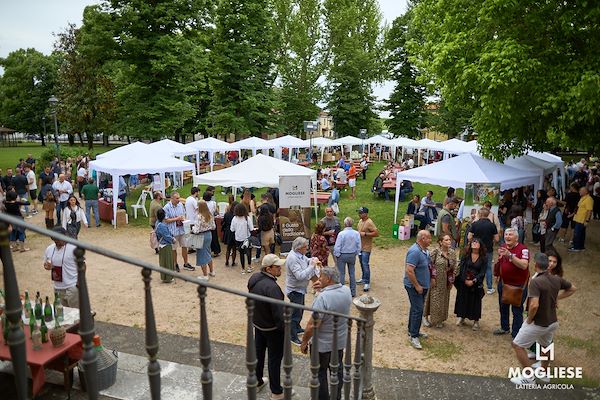 Glasses in Villa: excellent tastings with the Mogliese Latteria