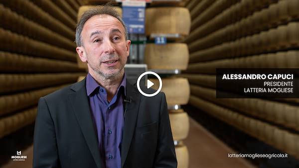 Scopri il cuore del Parmigiano Reggiano con 