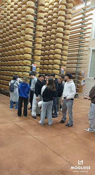 Latteria Mogliese is the star of Jobs Week: training, territory and future