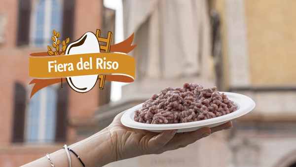 Latteria Mogliese at the Isola della Scala  Rice Fair