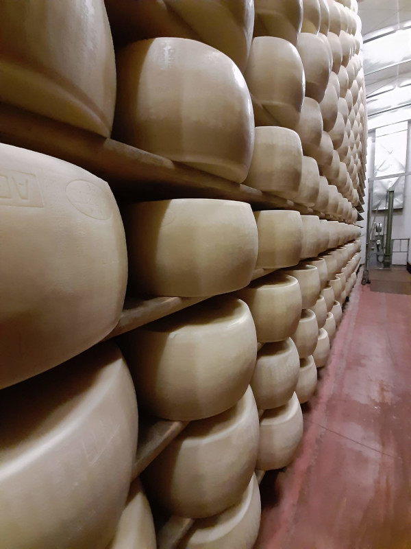 Latteria Mogliese: Excellence in the Dairy Sector