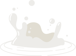 A Multisensory Experience