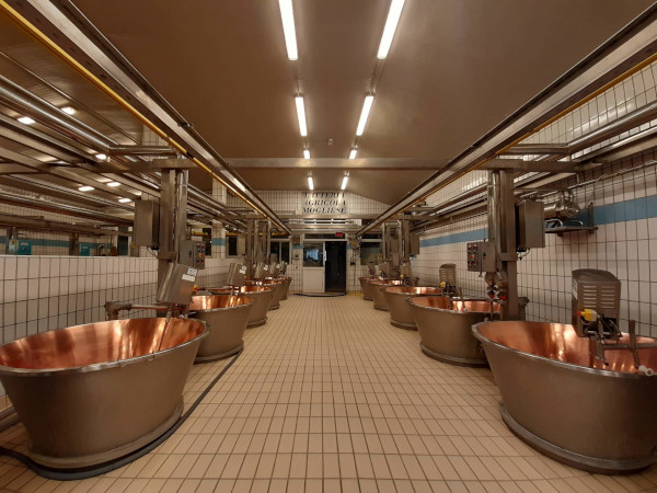 Latteria Mogliese is a leading company in the dairy sector in Moglia di Sermide.