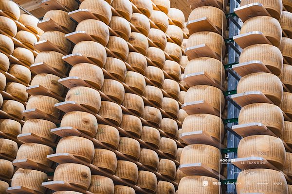 Mogliese dairy. Le Prandine Armonia Gourmet