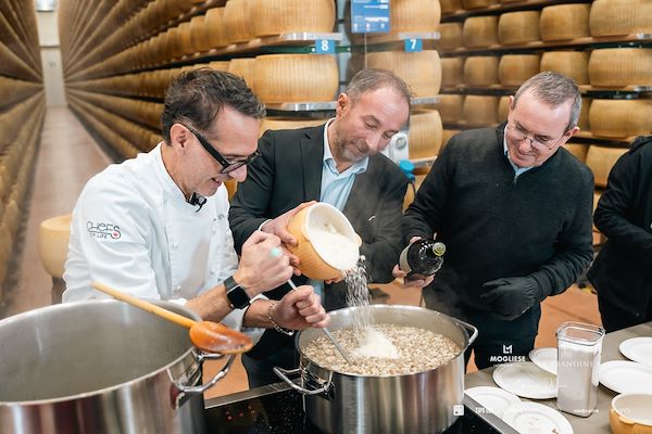Mogliese dairy. Le Prandine Armonia Gourmet