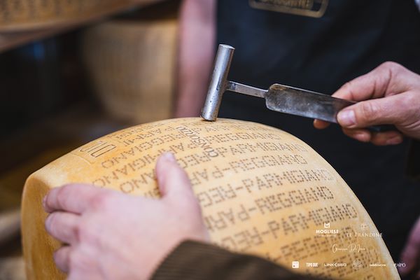 Mogliese dairy. Le Prandine Armonia Gourmet