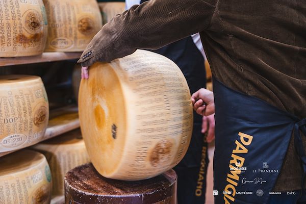 Mogliese dairy. Le Prandine Armonia Gourmet