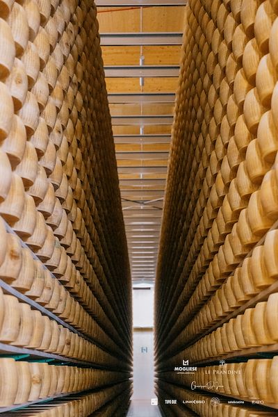 Mogliese dairy. Le Prandine Armonia Gourmet