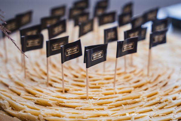 Mogliese dairy. Le Prandine Armonia Gourmet