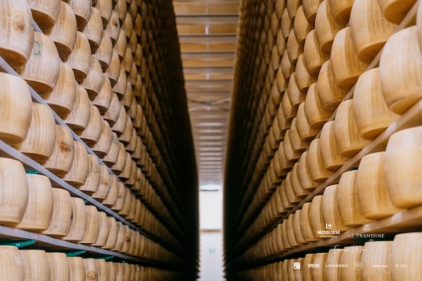 Mogliese dairy. Le Prandine Armonia Gourmet