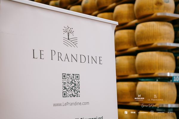 Mogliese dairy. Le Prandine Armonia Gourmet
