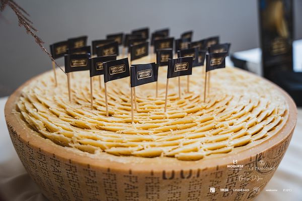 Mogliese dairy. Le Prandine Armonia Gourmet