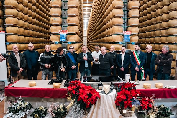 Mogliese dairy. Le Prandine Armonia Gourmet