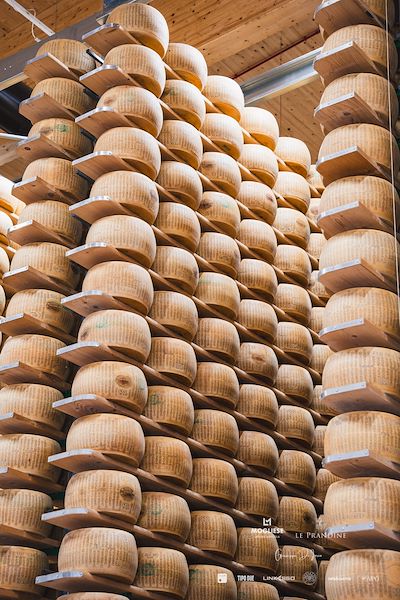 Mogliese dairy. Le Prandine Armonia Gourmet