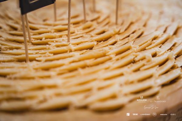 Mogliese dairy. Le Prandine Armonia Gourmet