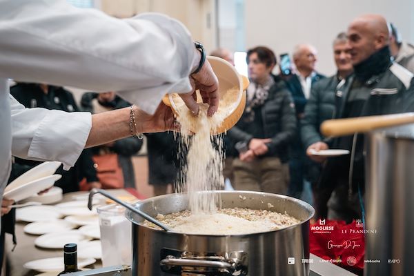 Mogliese dairy. Le Prandine Armonia Gourmet