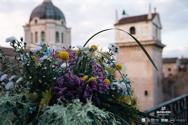 Latteria Mogliese  Trame di Sapori