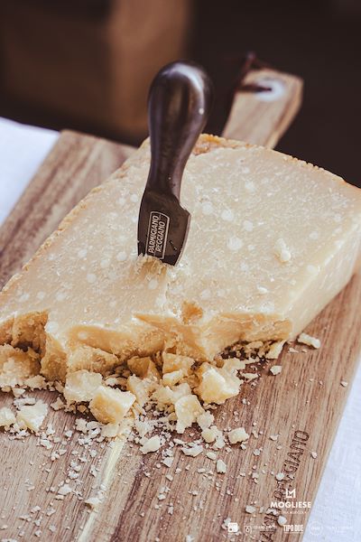 Latteria Mogliese <br /> Trame di Sapori