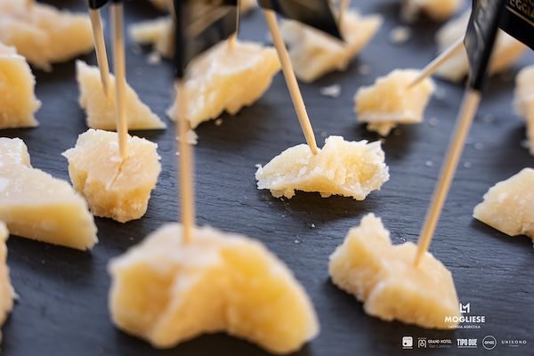 Latteria Mogliese  Trame di Sapori