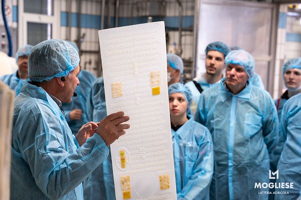 Discover the heart of Parmigiano Reggiano with “Open Dairy Farms”