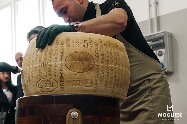 Scopri il cuore del Parmigiano Reggiano con Caseifici Aperti 12 e 13 Aprile 2025