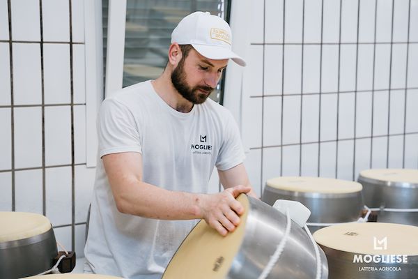 Discover the heart of Parmigiano Reggiano with “Open Dairy Farms”