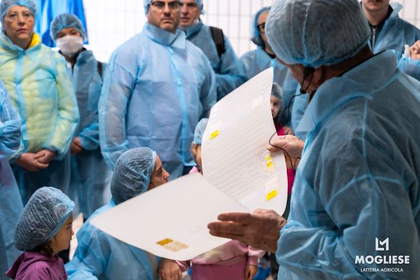 Discover the heart of Parmigiano Reggiano with “Open Dairy Farms”