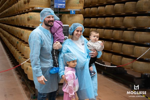 Discover the heart of Parmigiano Reggiano with “Open Dairy Farms”
