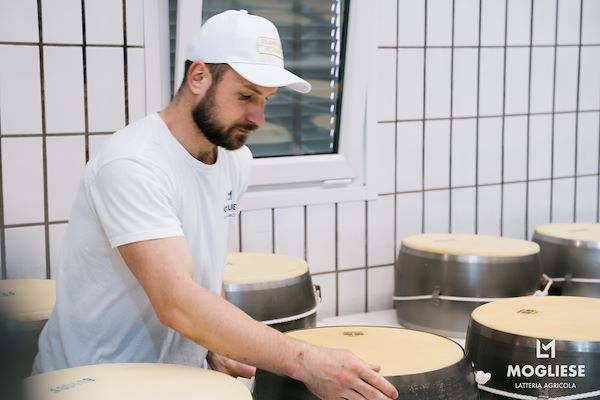Discover the heart of Parmigiano Reggiano with “Open Dairy Farms”