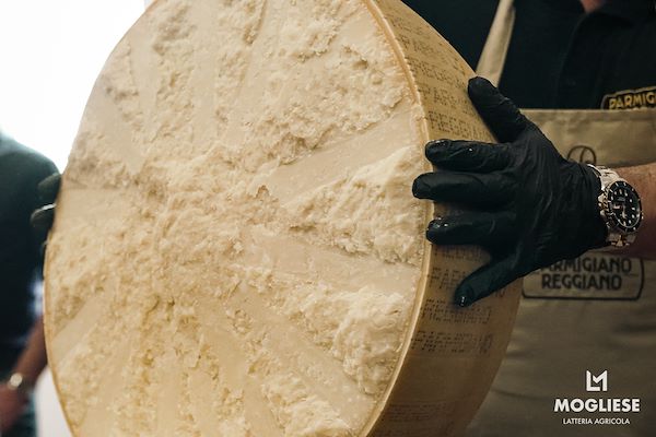 Scopri il cuore del Parmigiano Reggiano con Caseifici Aperti 12 e 13 Aprile 2025