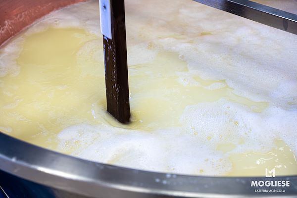 Scopri il cuore del Parmigiano Reggiano con Caseifici Aperti 12 e 13 Aprile 2025
