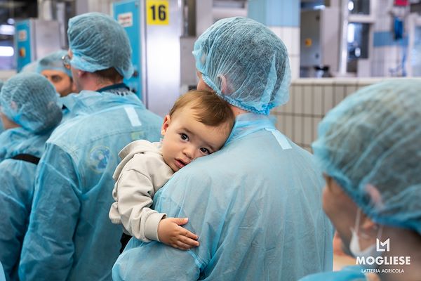 Discover the heart of Parmigiano Reggiano with “Open Dairy Farms”