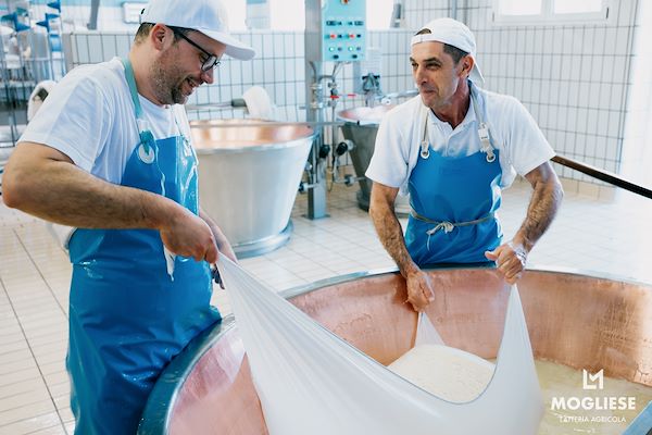 Scopri il cuore del Parmigiano Reggiano con Caseifici Aperti 12 e 13 Aprile 2025