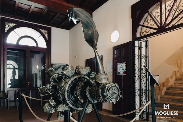 Discover the heart of Parmigiano Reggiano with “Open Dairy Farms”