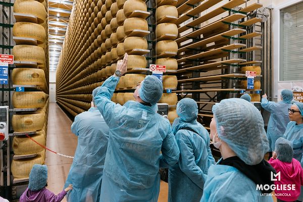 Scopri il cuore del Parmigiano Reggiano con Caseifici Aperti 12 e 13 Aprile 2025