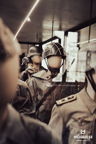 Discover the heart of Parmigiano Reggiano with “Open Dairy Farms”