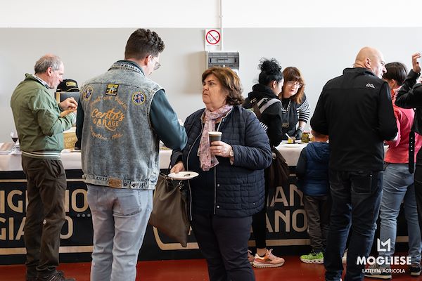 Discover the heart of Parmigiano Reggiano with “Open Dairy Farms”