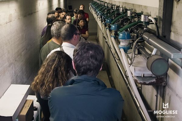 Discover the heart of Parmigiano Reggiano with “Open Dairy Farms”