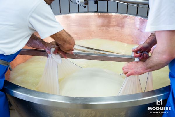 Scopri il cuore del Parmigiano Reggiano con Caseifici Aperti 12 e 13 Aprile 2025