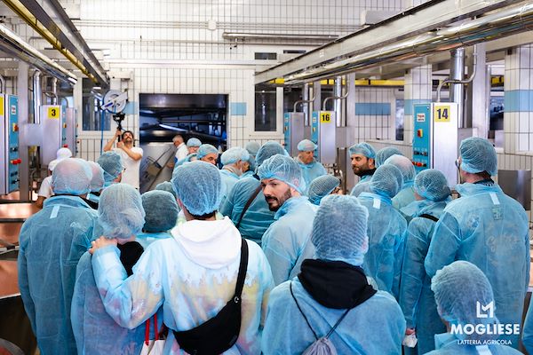 Discover the heart of Parmigiano Reggiano with “Open Dairy Farms”