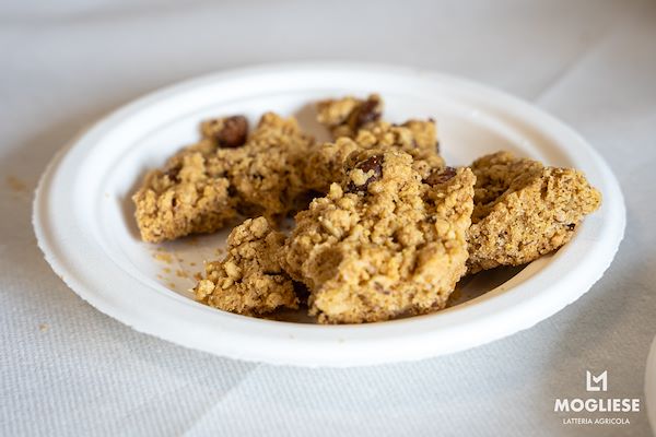 Discover the heart of Parmigiano Reggiano with “Open Dairy Farms”