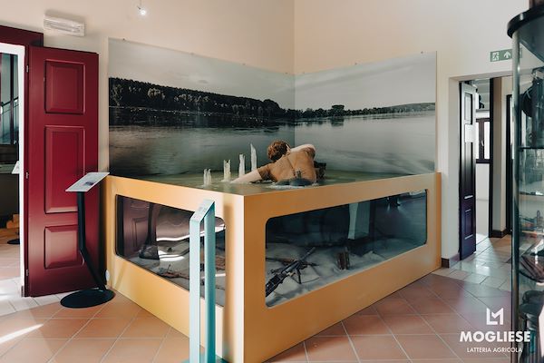 Discover the heart of Parmigiano Reggiano with “Open Dairy Farms”