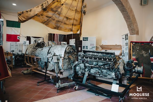 Discover the heart of Parmigiano Reggiano with “Open Dairy Farms”