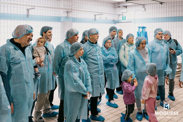 Discover the heart of Parmigiano Reggiano with “Open Dairy Farms”