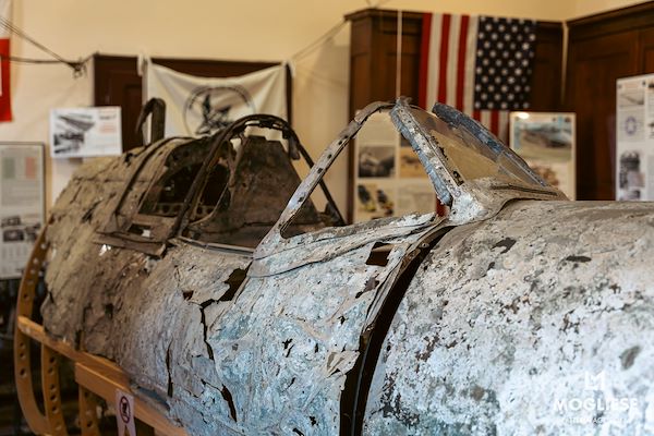 Discover the heart of Parmigiano Reggiano with “Open Dairy Farms”