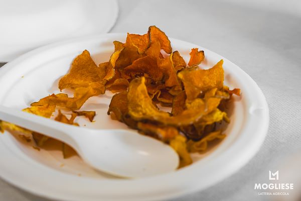 Discover the heart of Parmigiano Reggiano with “Open Dairy Farms”