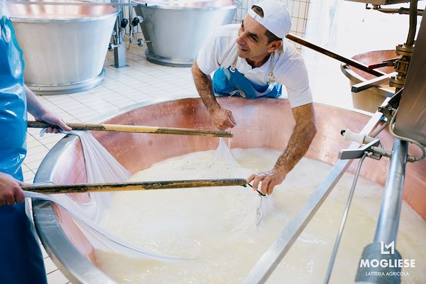 Scopri il cuore del Parmigiano Reggiano con Caseifici Aperti 12 e 13 Aprile 2025